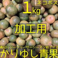 【加工用】沖縄県産 シークヮーサーC品・完熟 約1kg【ネコポス】④