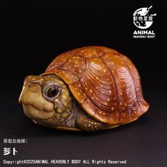 【動物の惑星】レア★上海展覧会非売品!記念品トウブハコガメ! フィギュア 動物の惑星】ワニガメ フィギュア - メルカリ