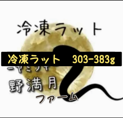 冷凍マウスくん | リトルモンスター九州