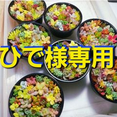 ひで様専用