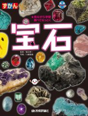戦艦大和建造ドックの石 - メルカリ