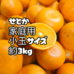 せとか　家庭用小玉3kg