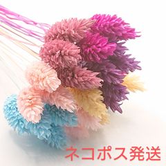 東北花材 ポアプランツアソート