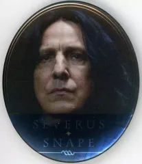 2025年最新】ハリーポッターオーバルカンバッジコレクションの