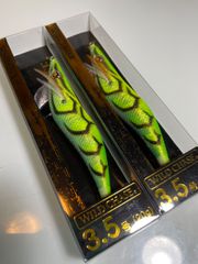 スクイッドマニア　ワイルドチェイス　3.5号　2021年カラー