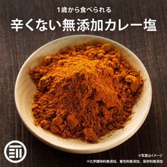 前田家 無添加 辛くないカレー塩 100g 簡単 味付け１歳からの 離乳食 カレー粉 パウダー 粉末 カレー風味 炒飯 野菜炒め スパイス スパイスソルト 安心