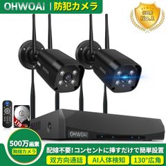 130°超多角屋外AI人体検知 防犯カメラ×8 10インチモニター 500万画素