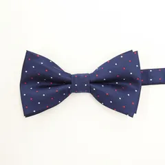 蝶ネクタイ　ネイビー　赤白ドット　結婚式　新郎新婦　タキシード