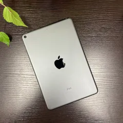 iPad mini 5 スペースグレイ 64Gb Wi-Fiモデル 送料無料