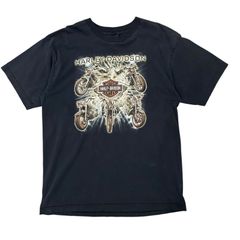 【いっぱいバイク】00's Harley-Davidson ハーレーダビッドソン