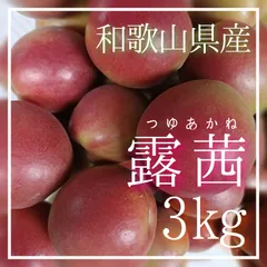 WEB限定】 - 梅 露茜 つゆあかね【完熟】2.5〜3kg - 激安 アウトレット