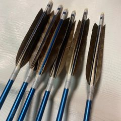 イーストン2014Blue shaft　磯手羽　近的矢　6矢