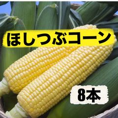 ほしつぶコーン❣️甘味とコクのあるとうもろこし8本❣️