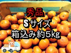 mdii! 温州みかん 樹熟大坊みかん、秀品(贈答品同様)10kg 20、温州みかん 樹熟大坊みかん、秀品(贈答品同様)10kg