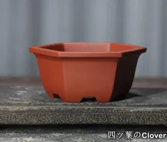 2025年最新】盆栽鉢 中国の人気アイテム - メルカリ