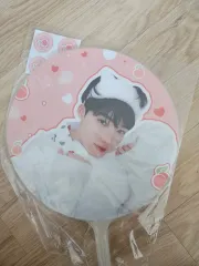 THE BOYZ(ザ・ボーイズ・ドボイズ) ニュー(NEW・チャニ) うちわ