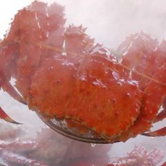 幻の蟹！！ちょっと訳あり浜茹で花咲蟹400g〜500g1杯3480円