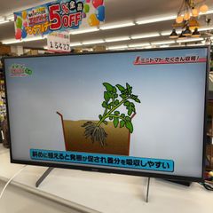 2020年製  4K ソニー BRAVIA 43インチ 4K液晶TV KJ-43X8500H VODサービス対応 エキスパート藤沢辻堂店