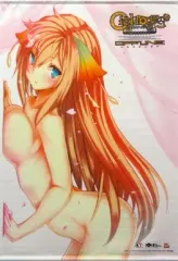 【中古】タペストリー イオン B2タペストリー 「PS Vitaソフト シェルノサージュOFFLINE ～失われた星へ捧ぐ詩～」 ソフマップ特典