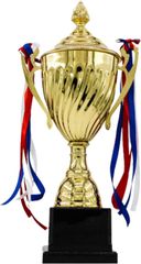 ユアクト 優勝カップ トロフィー 表彰 トロフィーカッププライズカップ ミニトロフィー 賞品 ゲーム道具 32.5cm( 金色)
