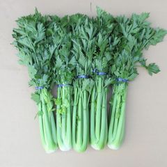 沖縄産野菜　セロリ 2.5キロ　（2カラ4束）