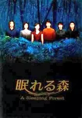 2025年最新】眠れる森 DVD BOXの人気アイテム - メルカリ