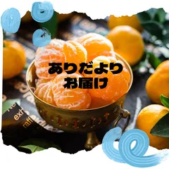 ゆら早生ミカン　加工用10キロ