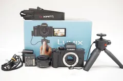 かいくん様用Panasonic Lumix DC-G100V 未使用　レンズ無し かいくん様用Panasonic Lumix DC-G100V 未使用 レンズ無し カメラ
