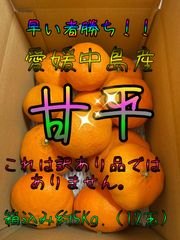 高級柑橘　甘平　箱込み約5Kg.