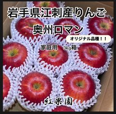 江刺産りんご　奥州ロマン　3kg箱（家庭用）