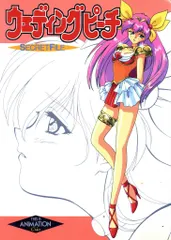 2025年最新】ウェディングピーチ シークレットファイルの人気