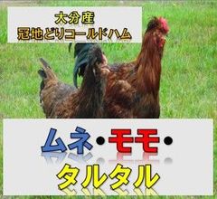 【数量限定】大分県産　冠地どりコールドハム