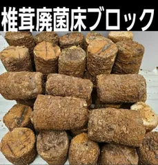 カブトムシ幼虫の栄養強化に抜群！椎茸菌床ブロック【2個セット】丸ごと発酵マットに埋め込むと幼虫が潜り込みモリモリ食べます！クヌギ100％原料使用のサムネイル