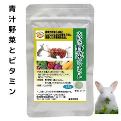 うさぎファンクラブ パパイヤボール20g 66粒 毛球症予防に グルテン