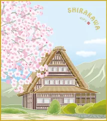 色紙  色紙掛けなし 色紙絵  和風 白川郷　桜  モダン 掛軸 床の間 和室 おしゃれ 壁掛け 絵