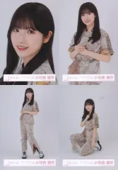 【中古】生写真(乃木坂46) ◇小田倉麗奈/櫻坂46ランダム生写真【「4th ARENA TOUR」オープニング衣装】 4種コンプリートセット