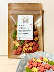 〈犬と猫の無添加おやつ専門店〉”春限定”お花見クッキー