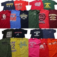 古着卸 まとめ売り カラーmix プリント 半袖Tシャツ 20枚セット (メンズ L /M ) プロチーム MLB ブレーブス ヴァンズ 中古 古着 NA7014