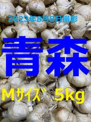 青森県産にんにく５ｋｇ Mサイズ ニンニク５キロ 福地ホワイト６片種 訳あり