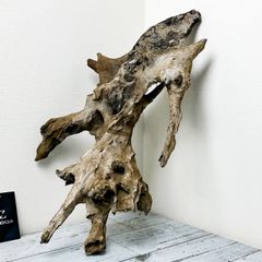 【堂々たるこの存在感】プレミアムホーンウッド/Hornwood【H0008】