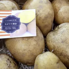 チキナン出品　長崎黄金3kg チキナン出品 長崎黄金3kg じゃがいも ながさき黄金 3キロ 長崎県産