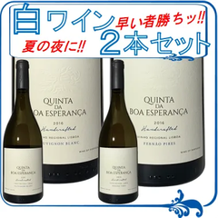夏の夜はコレで決まりッ!! 爽快な白ワイン２本セット【ポルトガル】【白ワイン 】【辛口】【750ml】【２本セット】
