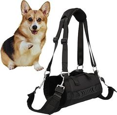 犬用 ハーネス 胴輪【株式会社FSI】リード セット 小型犬 子犬