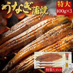 鰻蒲焼き 3尾 400g ×3 有頭 土用の丑の日 中国産 うなぎ 海産物 お取り寄せグルメ ビール 誕生日 食べ物 海鮮 もらって 嬉しい ギフト グルメ