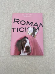 【初回限定盤ドッグ盤 未開封 特典付】ロマンチシズム Amazon.co.jp: Mrs. GREEN APPLE ロマンチシズム 完全生産限定