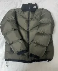 限定モデル 極美品 THE NORTH FACE アセントジャケット Lサイズ hq720.jpg?sqp=-