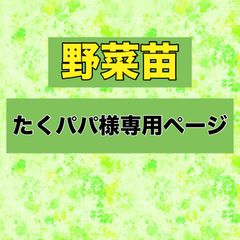 たくパパ様専用ページ‼️スイカ苗、ミニトマト苗