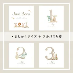 ◼︎baby:brown マンスリーカード　月齢カード　ましかく　アルバスのサムネイル