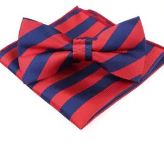 赤と青のストライプ　蝶ネクタイ・ポケットチーフ　セット　結婚式　発表会　七五三お祝い 卒業式　入学式　入園式　入社式　イベント　パーティー　ダンスパーティー　バーテンダー　ワンタッチネクタイ　ネクタイ　チーフ　セット　格安　小物　レッド色　ネイビー色　紺色