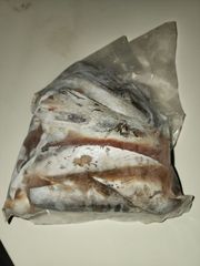 鮭、アキアジに鰹のハラモ10kg